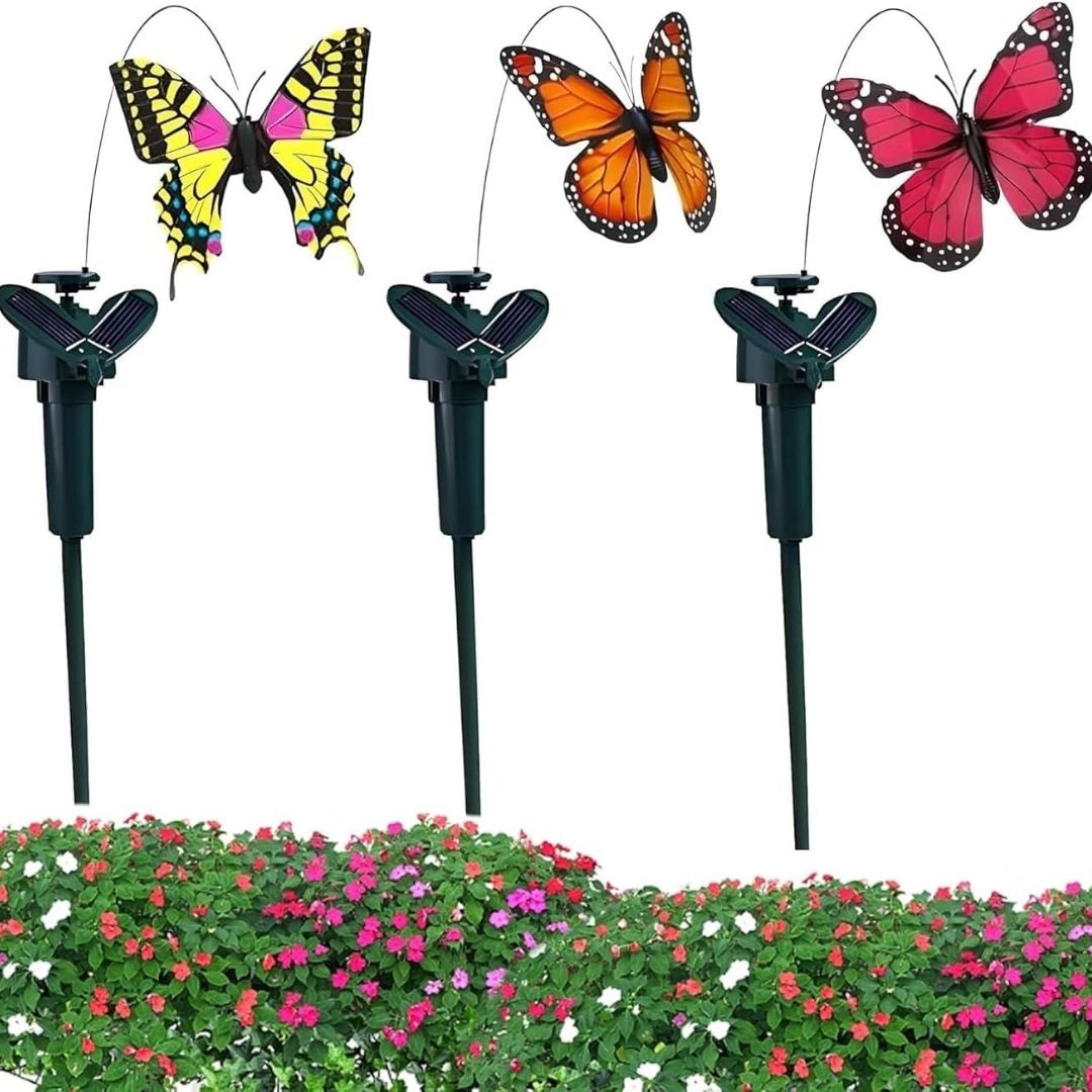 Solarni Električni Kolibri