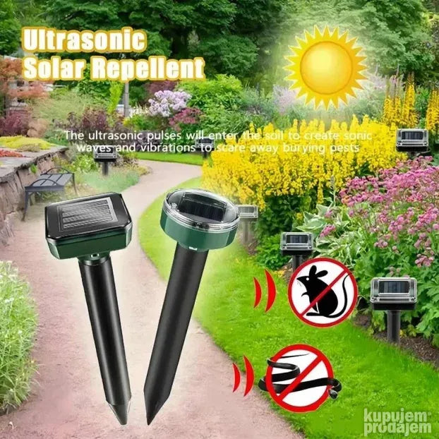 SONČNI ODGAJALEC GLODAVCEV IN ŽUŽELK