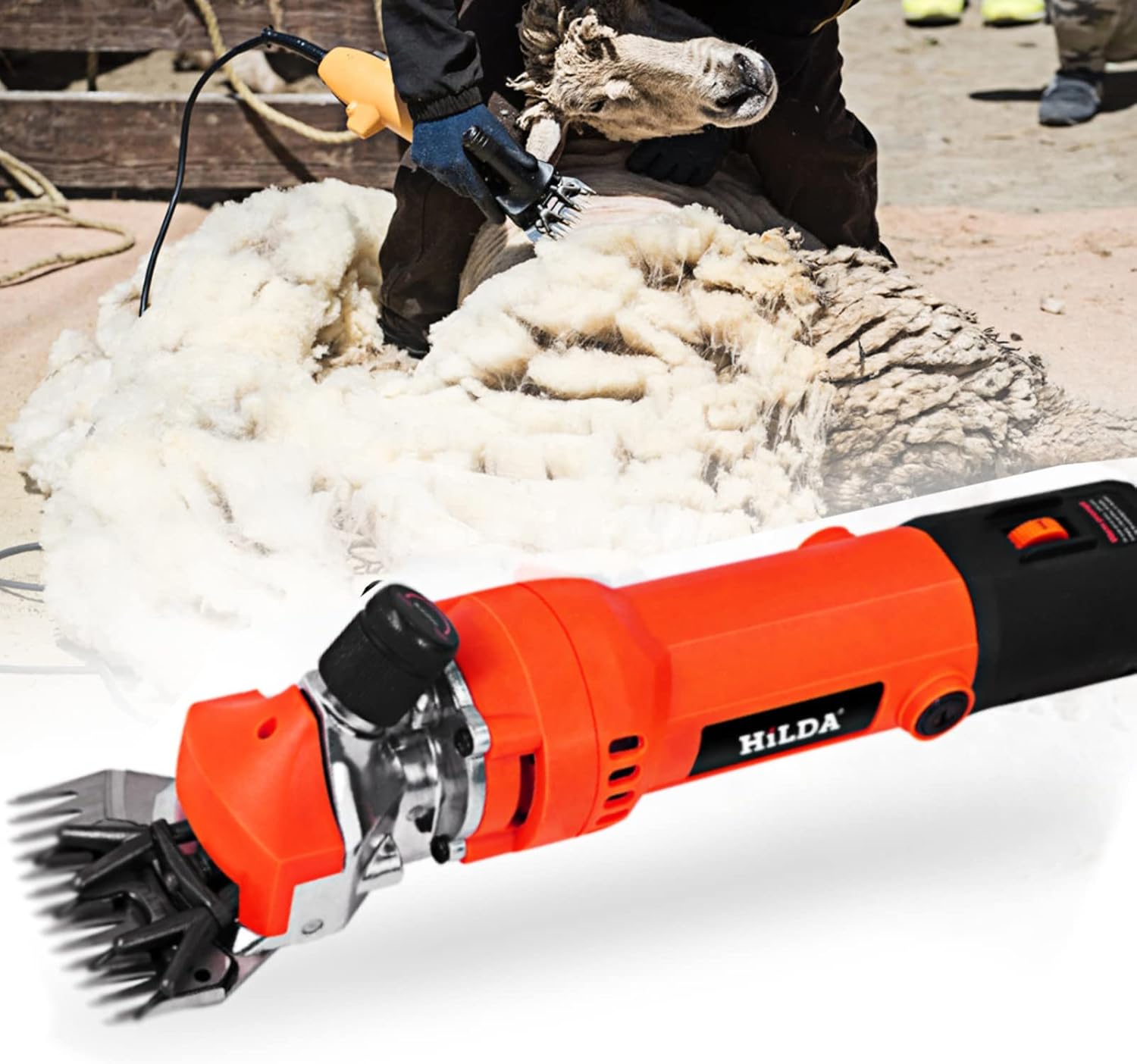 Električni strižnik ovc