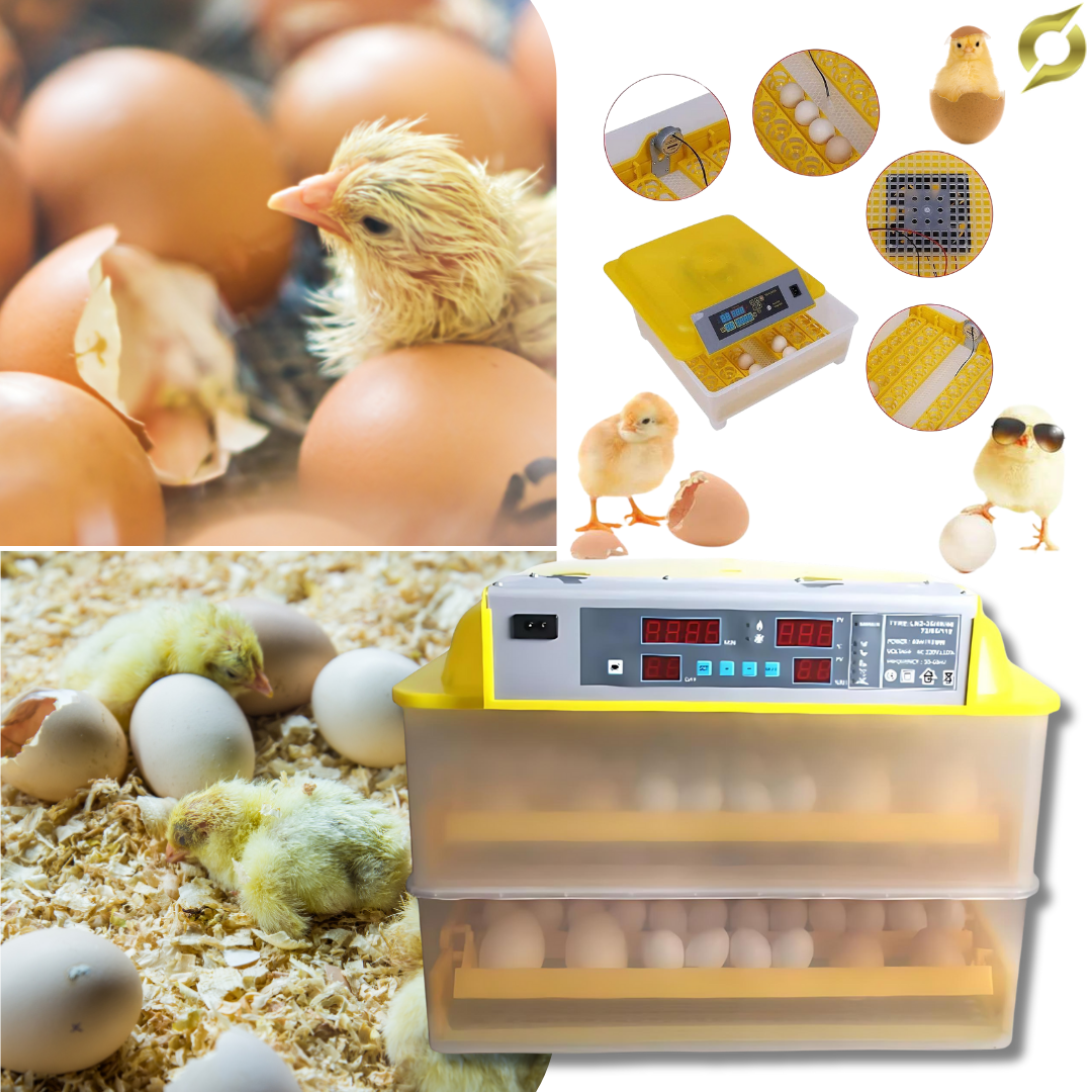 Inkubator za jajca | EGGHATCH
