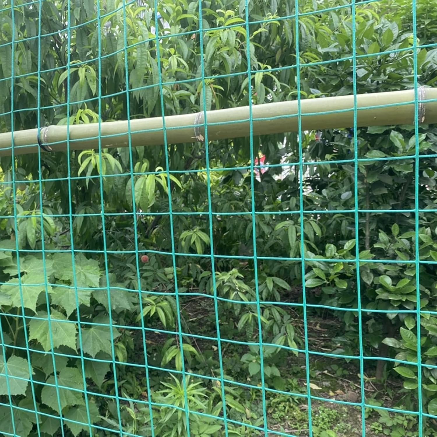 Zaščitna mreža za vrt, dvorišče in živali