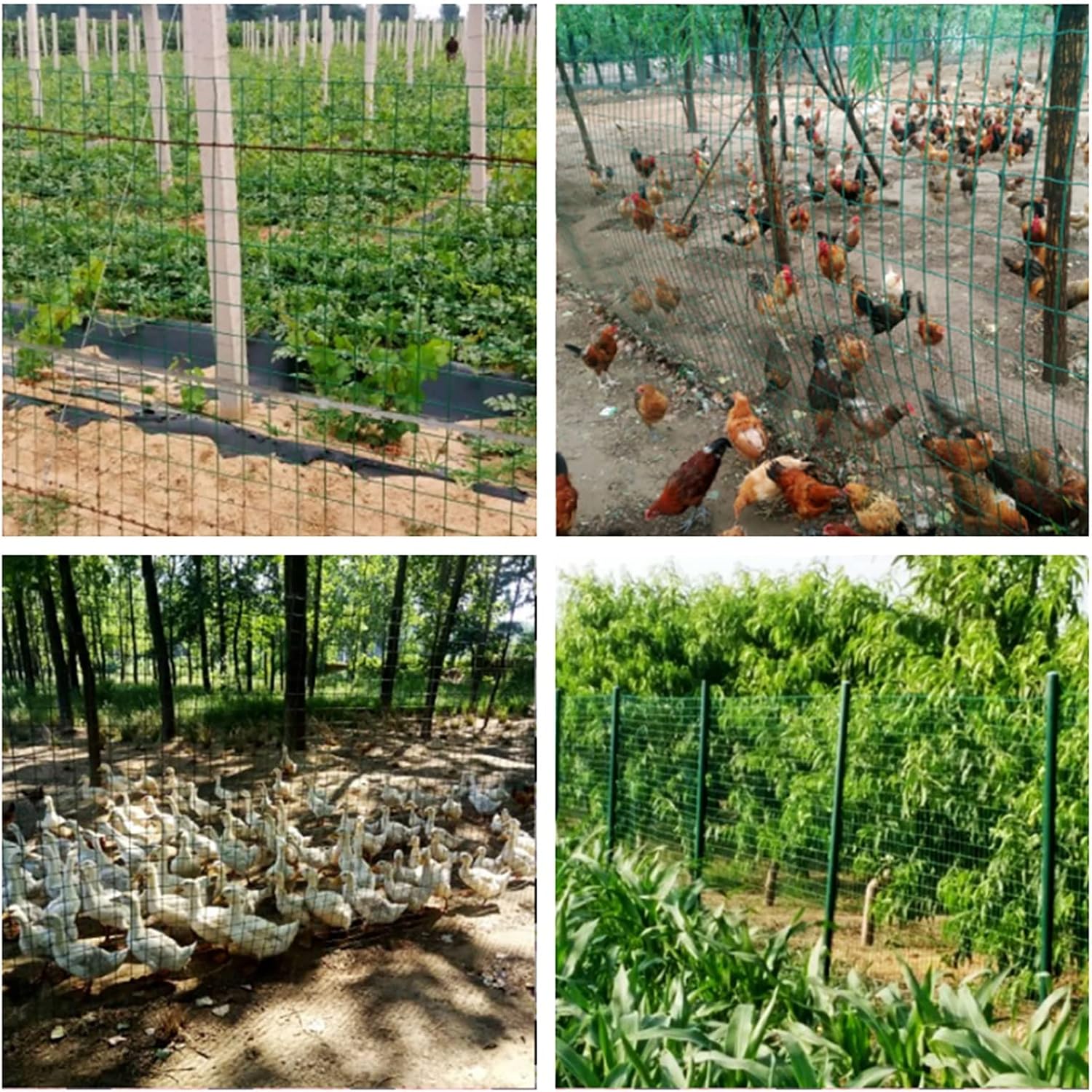 Zaščitna mreža za vrt, dvorišče in živali