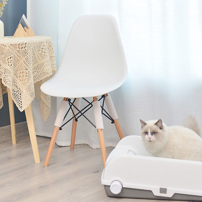 Avela stolica - Bela