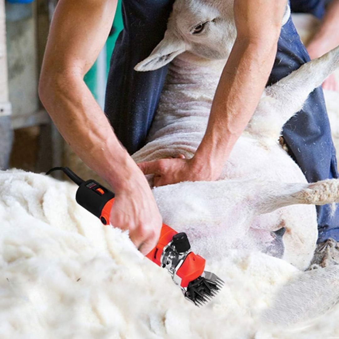 Električni strižnik ovc